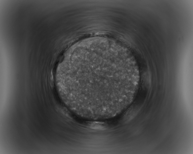 X0000084570222200703231828