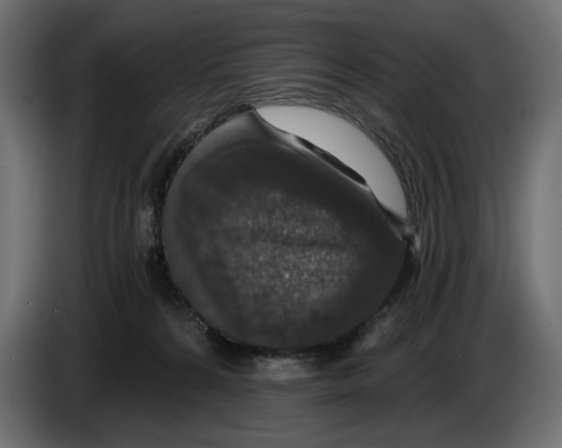 X0000084570224200703231828