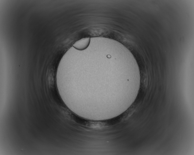 X0000084570226200703231828