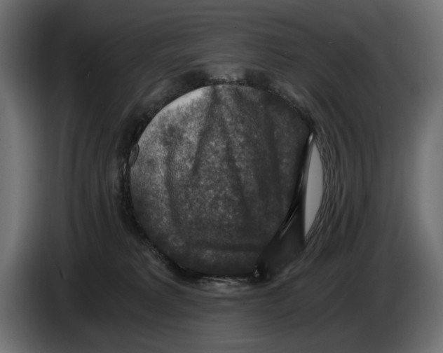 X0000084570229200703231828