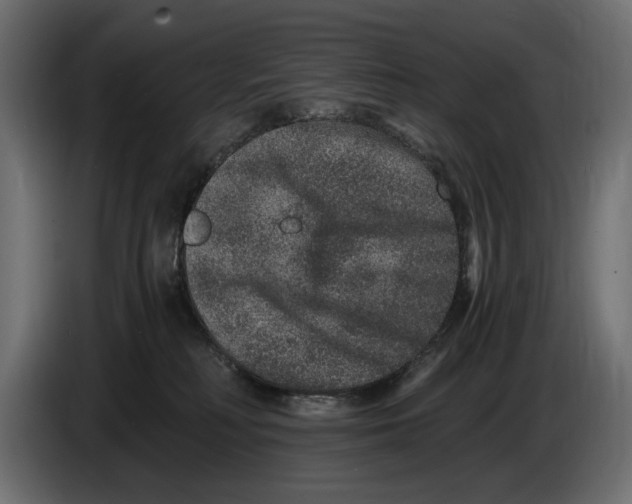 X0000084570230200703231828