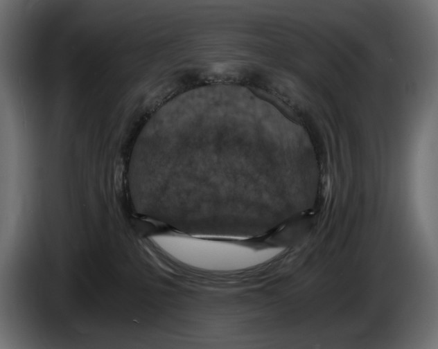 X0000084570231200703231828