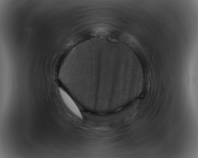 X0000084570232200703231828