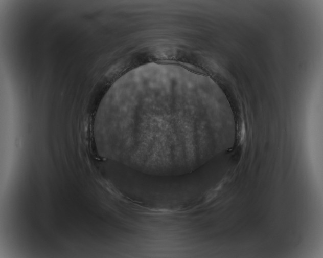 X0000084570233200703231828