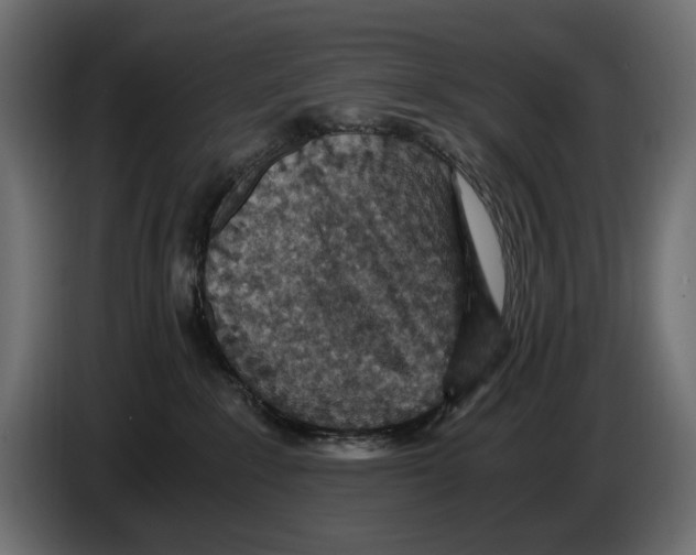 X0000084570235200703231828