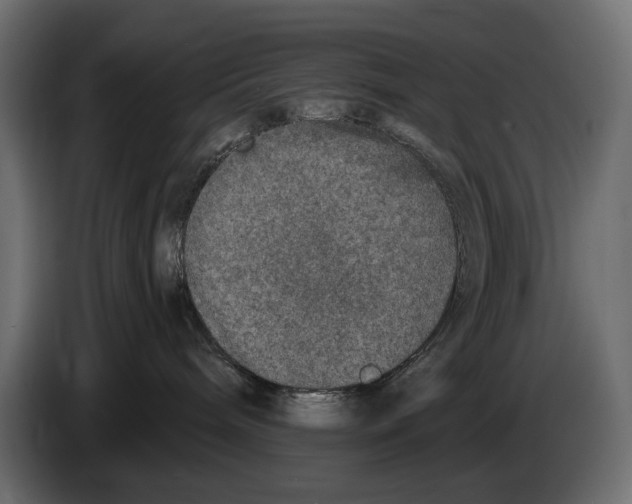 X0000084570240200703231828