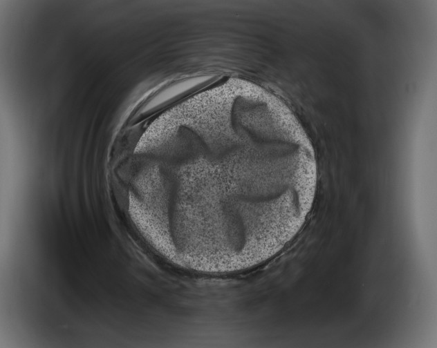 X0000084570242200703231827