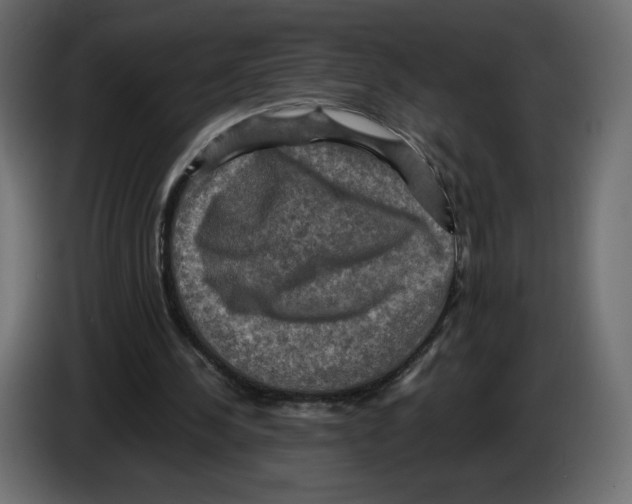 X0000084570244200703231827