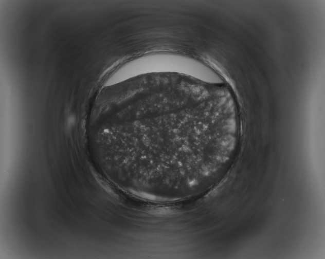 X0000084570249200703231827