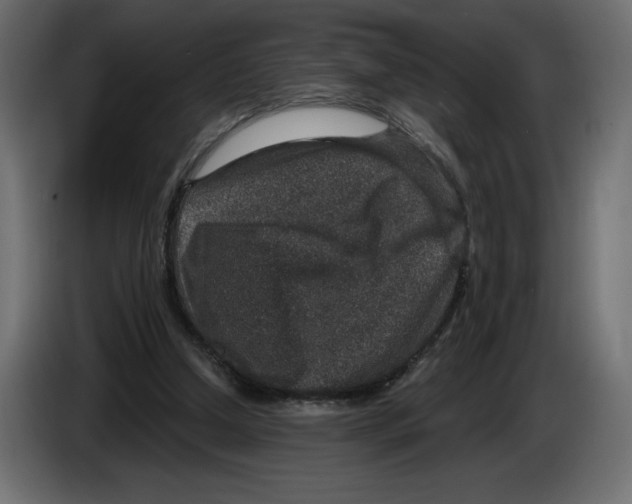 X0000084570250200703231828