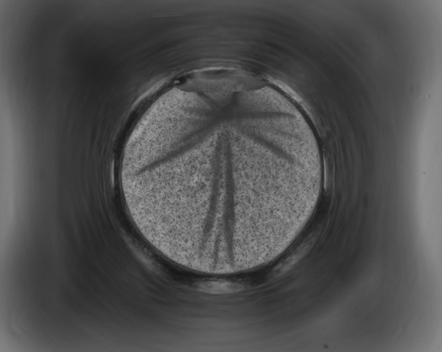 X0000084570253200703231828