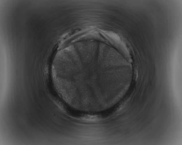 X0000084570260200703231828