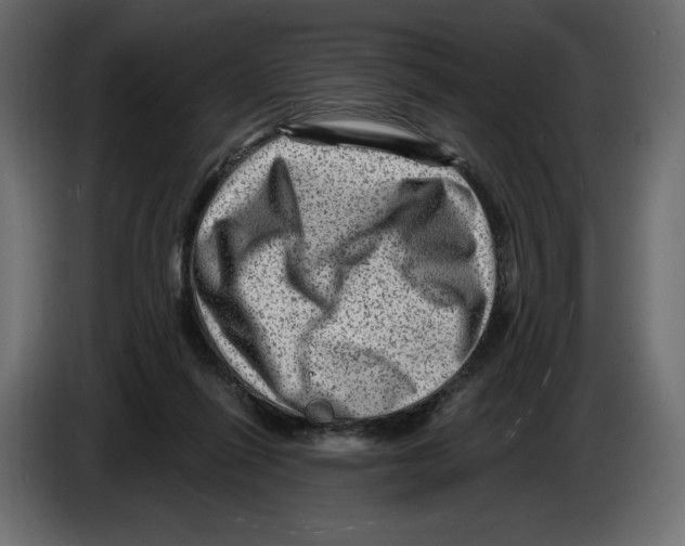 X0000084570262200703231828