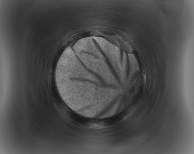 X0000084570263200703231828