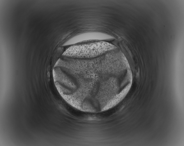 X0000084570264200703231828