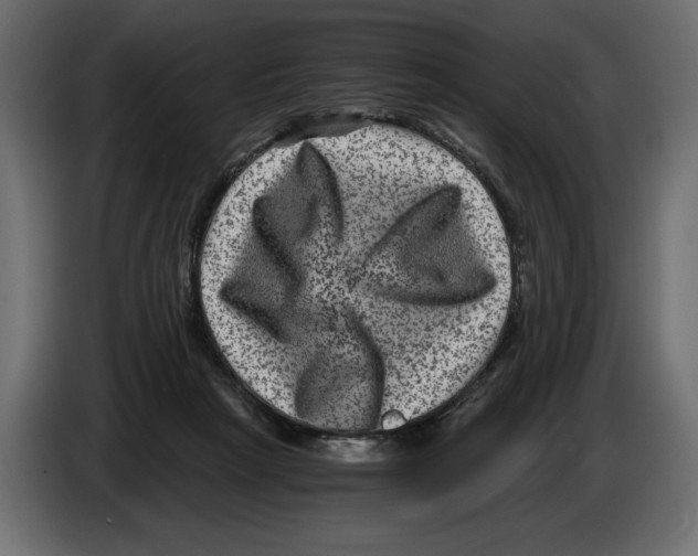 X0000084570265200703231828