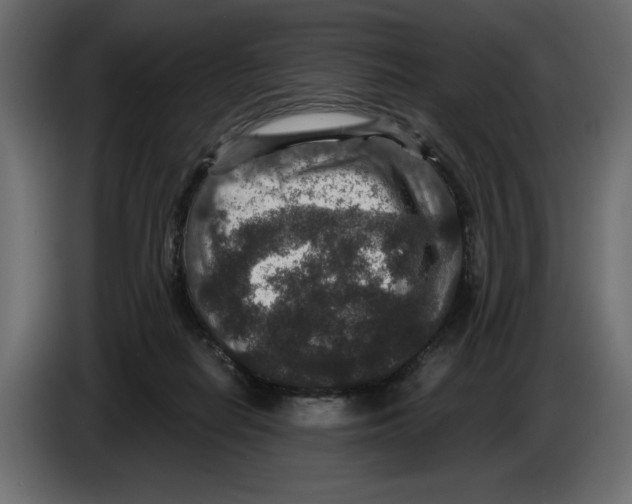 X0000084570266200703231828