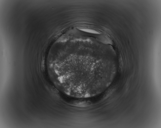 X0000084570267200703231828