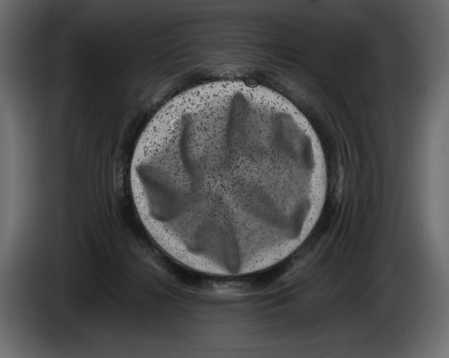 X0000084570268200703231828