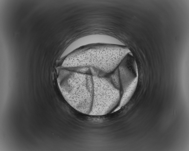 X0000084570282200703231828