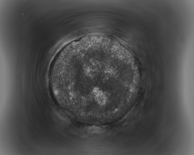 X0000084570290200703231827