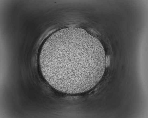 X0000084570291200703231827