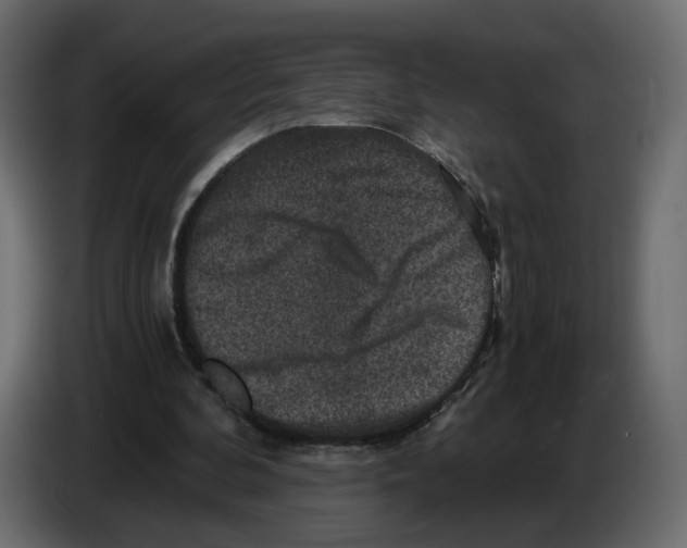 X0000084570292200703231827