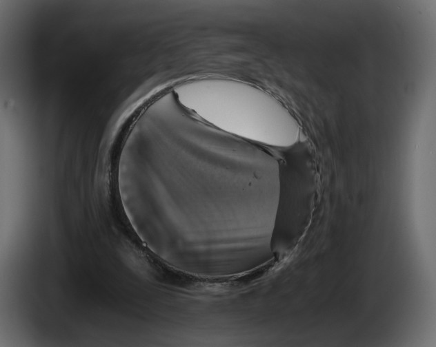 X0000084570295200703231827