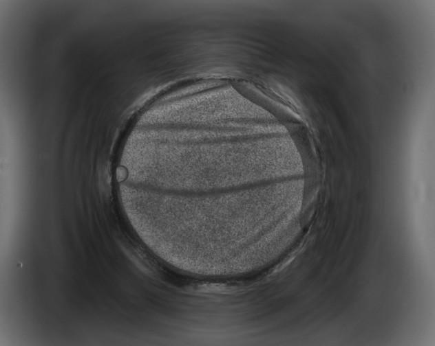 X0000084570298200703231827