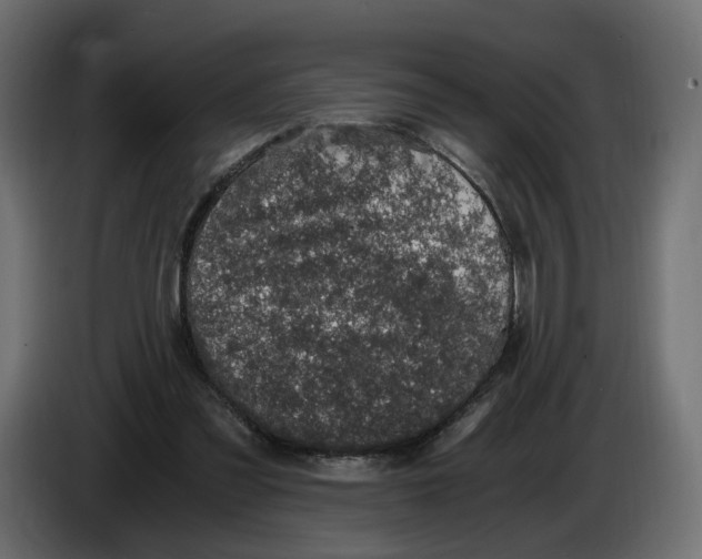 X0000084570301200703231827