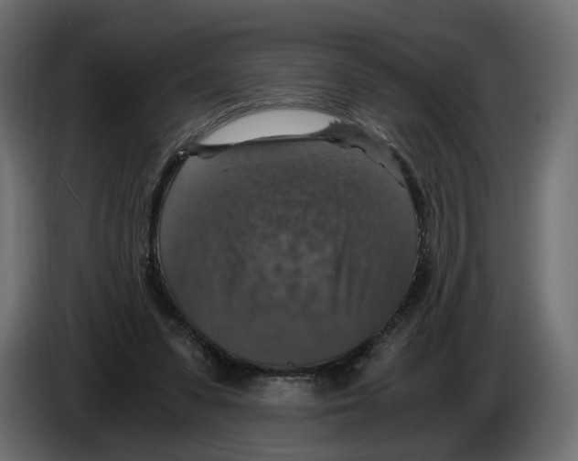 X0000084570303200703231827