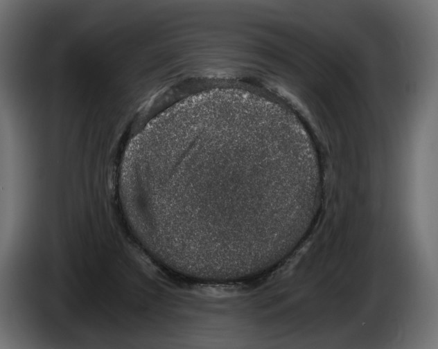 X0000084570305200703231827