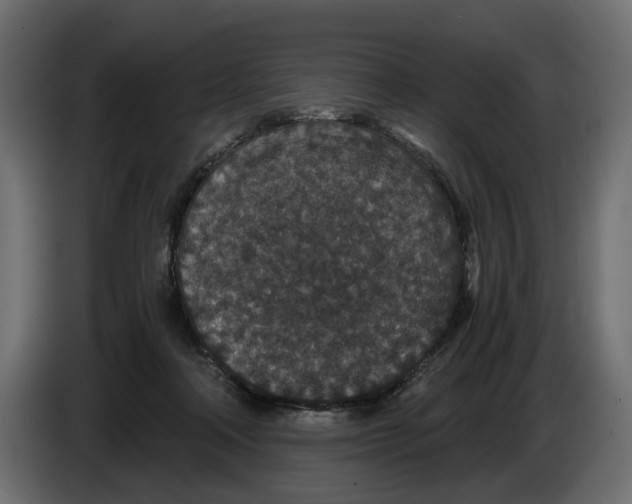 X0000084570314200703231827