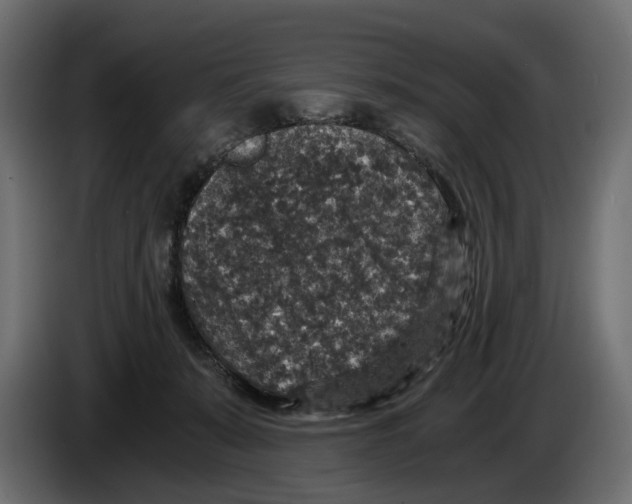 X0000084570319200703231827