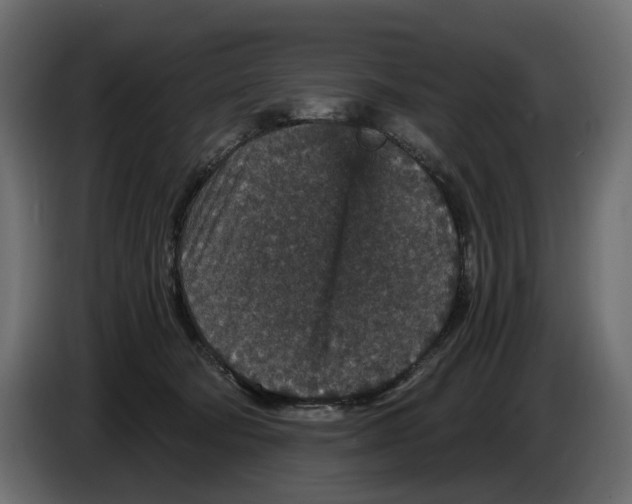 X0000084570322200703231827