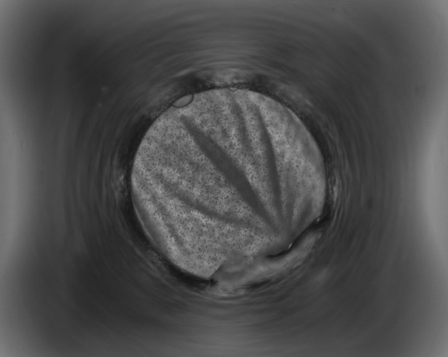 X0000084570327200703231827