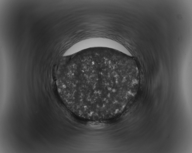 X0000084570331200703231827