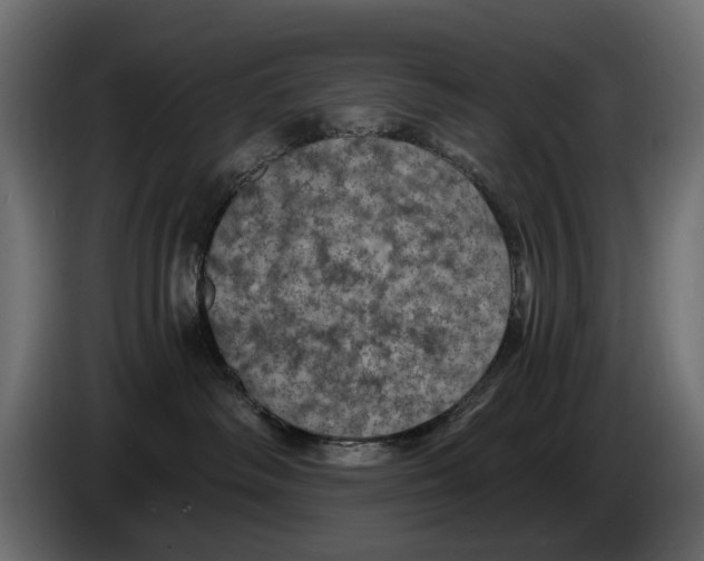 X0000084570334200703231827