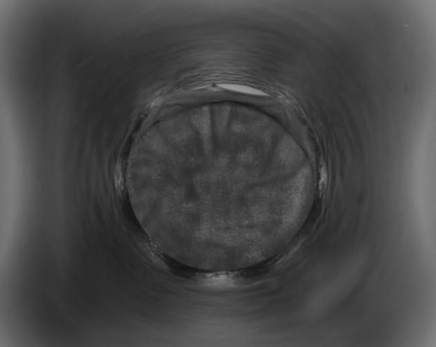 X0000084570335200703231827