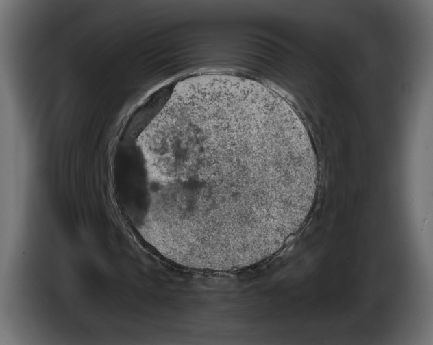 X0000084570337200703231826