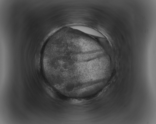 X0000084570346200703231826