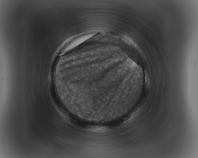 X0000084570348200703231826