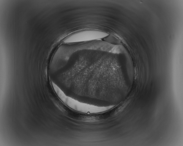 X0000084570349200703231826