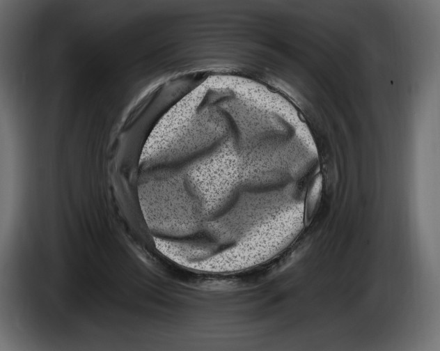 X0000084570350200703231826