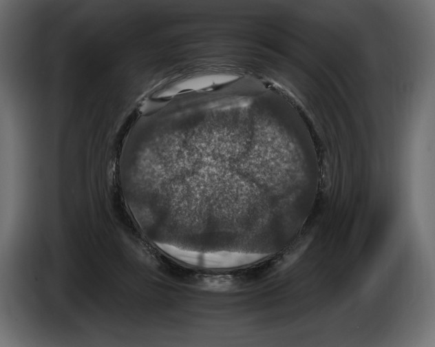 X0000084570355200703231826