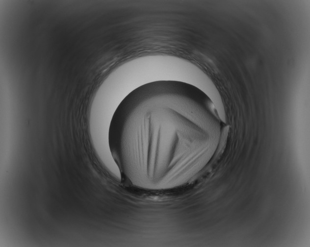 X0000084570364200703231826