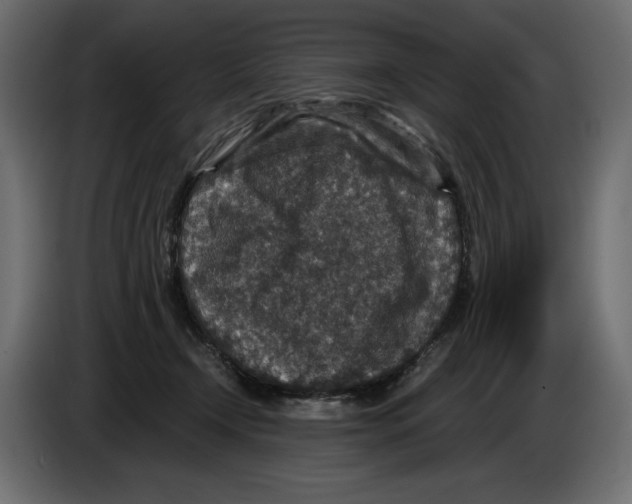 X0000084570366200703231826