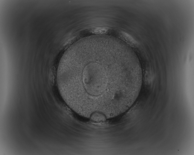 X0000084570370200703231826