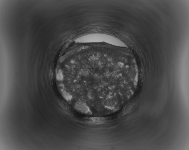 X0000084570371200703231827