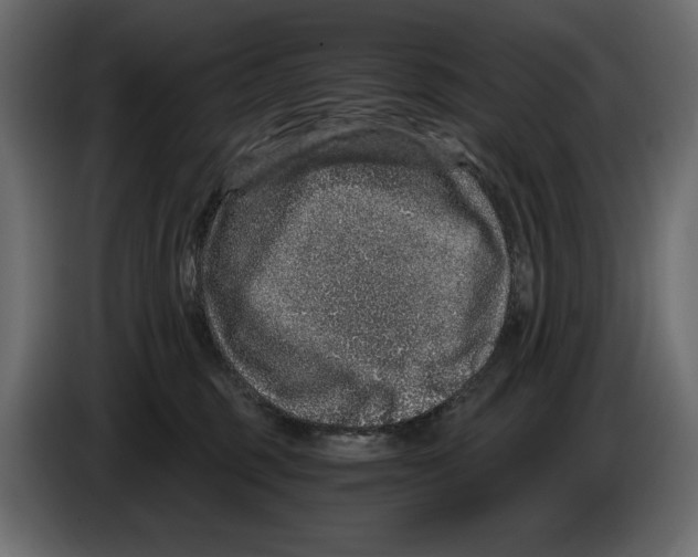 X0000084570375200703231827